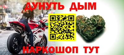 твердый Бердск