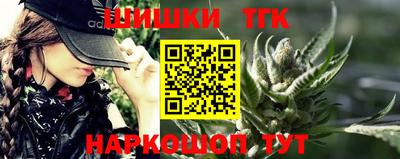 твердый Бердск