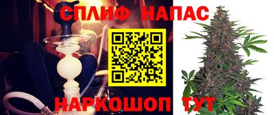 твердый Бердск