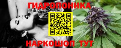твердый Бердск